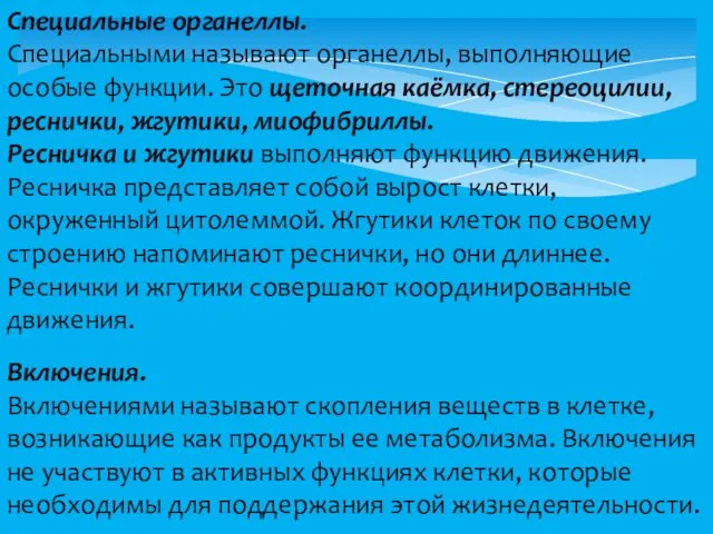 Специальные органеллы. Специальными называют органеллы, выполняющие особые функции. Это щеточная каёмка,