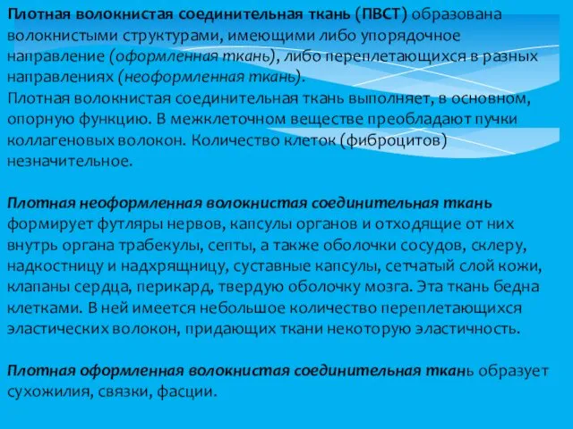 Плотная волокнистая соединительная ткань (ПВСТ) образована волокнистыми структурами, имеющими либо упорядочное