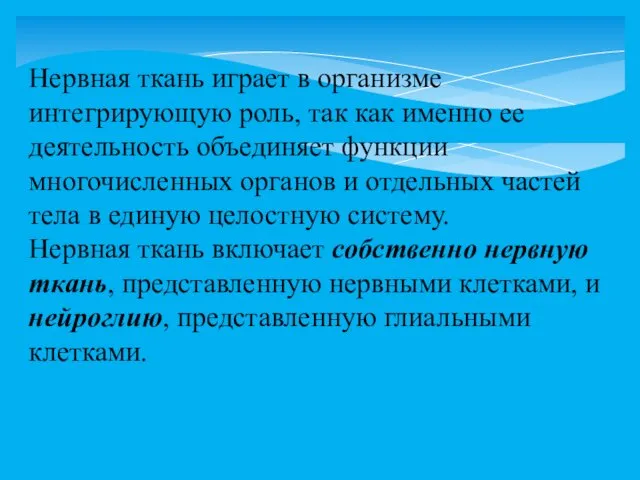 Нервная ткань играет в организме интегрирующую роль, так как именно ее