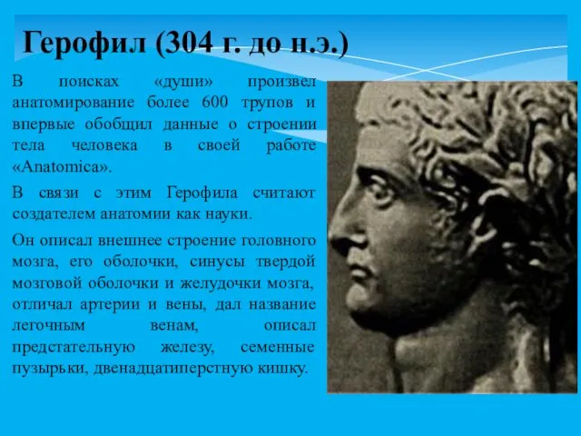 В поисках «души» произвел анатомирование более 600 трупов и впервые обобщил