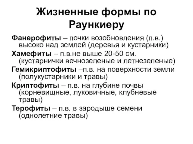 Жизненные формы по Раункиеру Фанерофиты – почки возобновления (п.в.) высоко над