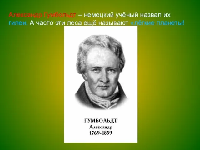 Александр Гумбольдт – немецкий учёный назвал их гилеи. А часто эти леса ещё называют «лёгкие планеты!