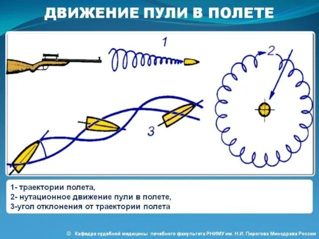 Движение пули в полете