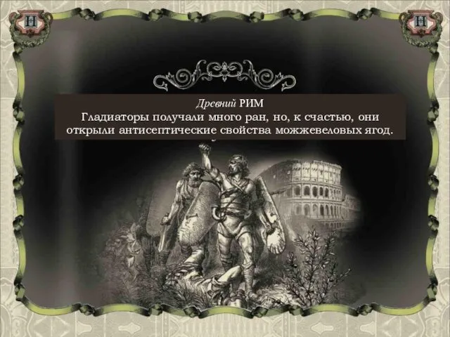 Древний РИМ Гладиаторы получали много ран, но, к счастью, они открыли антисептические свойства можжевеловых ягод.