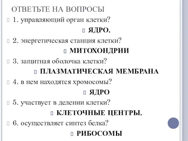 ОТВЕТЬТЕ НА ВОПРОСЫ 1. управляющий орган клетки? ЯДРО. 2. энергетическая станция