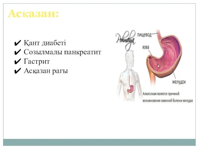 Қант диабеті Созылмалы панкреатит Гастрит Асқазан рагы Асқазан: