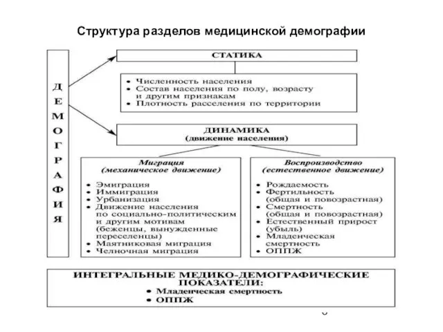 Структура разделов медицинской демографии