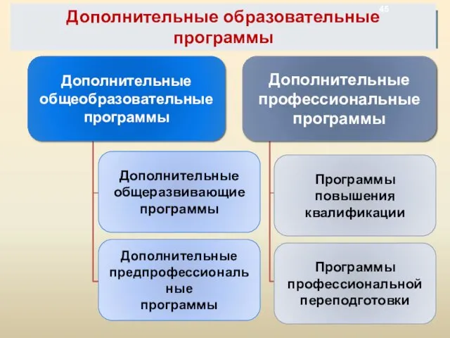 Дополнительные общеразвивающие программы Дополнительные предпрофессиональные программы Программы повышения квалификации Программы профессиональной