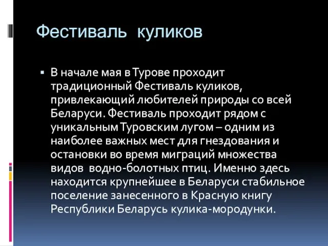 Фестиваль куликов В начале мая в Турове проходит традиционный Фестиваль куликов,