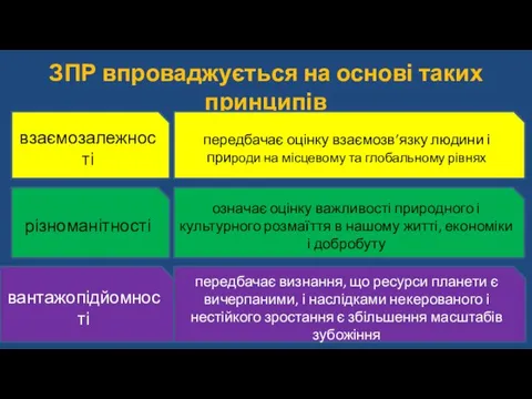 ЗПР впроваджується на основі таких принципів взаємозалежності різноманітності вантажопідйомності передбачає оцінку