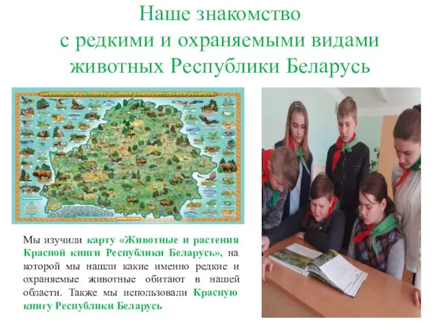 Мы изучили карту «Животные и растения Красной книги Республики Беларусь», на