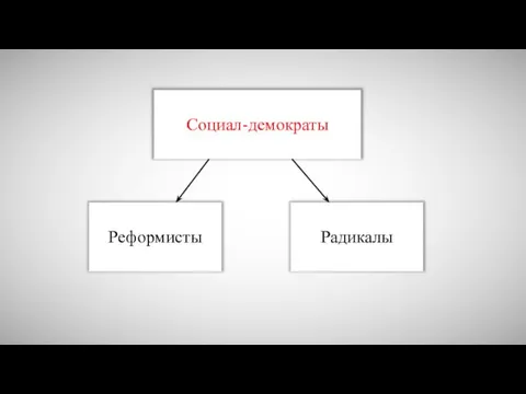 Социал-демократы Реформисты Радикалы