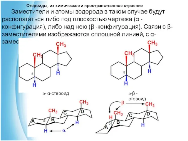 Стероиды, их химическое и пространственное строение Заместители и атомы водорода в