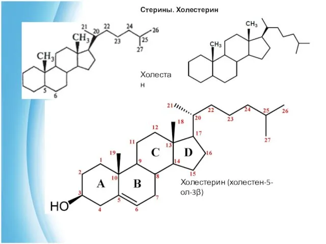 Стерины. Холестерин Холестерин (холестен-5-ол-3β) Холестан