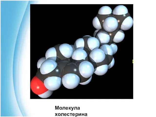 Молекула холестерина
