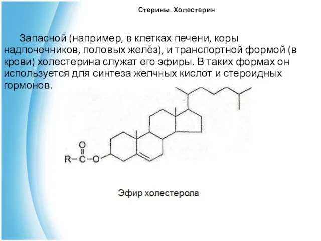 Стерины. Холестерин Запасной (например, в клетках печени, коры надпочечников, половых желёз),