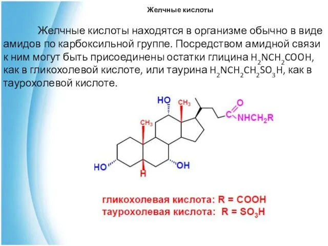 Желчные кислоты Желчные кислоты находятся в организме обычно в виде амидов