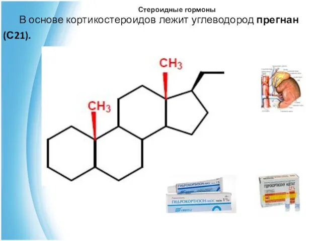 Стероидные гормоны В основе кортикостероидов лежит углеводород прегнан (С21).