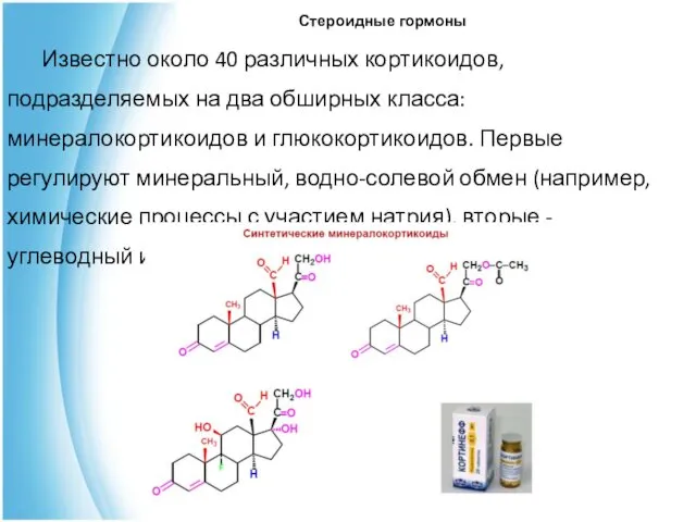 Стероидные гормоны Известно около 40 различных кортикоидов, подразделяемых на два обширных