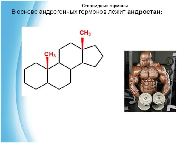 Стероидные гормоны В основе андрогенных гормонов лежит андростан: