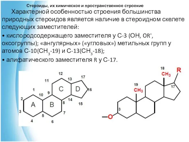 Стероиды, их химическое и пространственное строение Характерной особенностью строения большинства природных