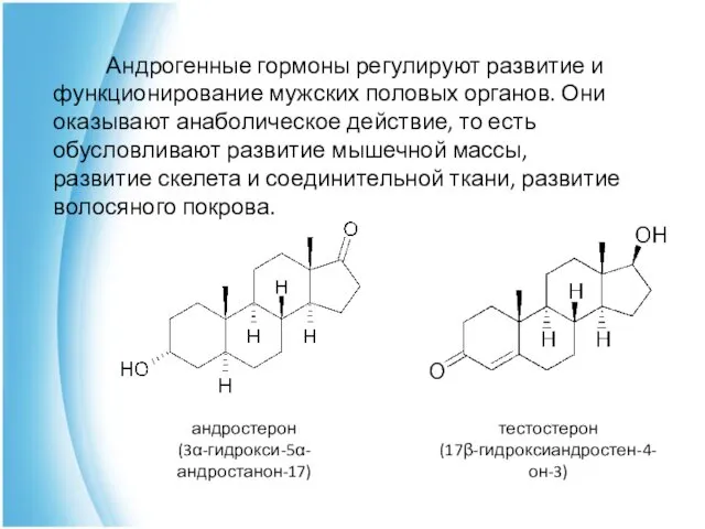 Андрогенные гормоны регулируют развитие и функционирование мужских половых органов. Они оказывают