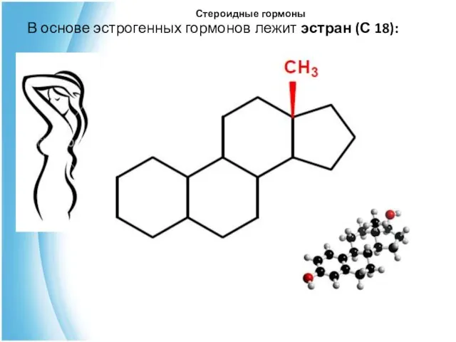 Стероидные гормоны В основе эстрогенных гормонов лежит эстран (С 18):