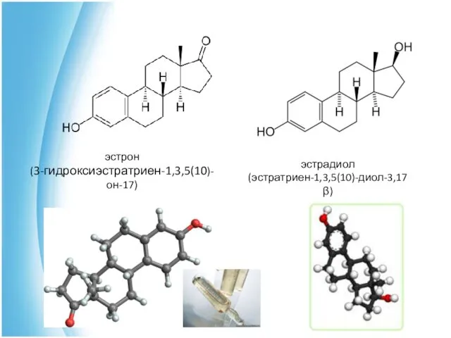эстрон (3-гидроксиэстратриен-1,3,5(10)-он-17) эстрадиол (эстратриен-1,3,5(10)-диол-3,17β)