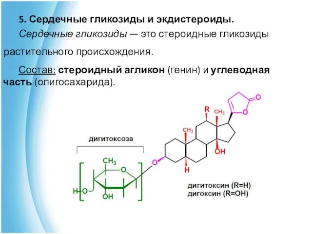 5. Сердечные гликозиды и экдистероиды. Сердечные гликозиды — это стероидные гликозиды