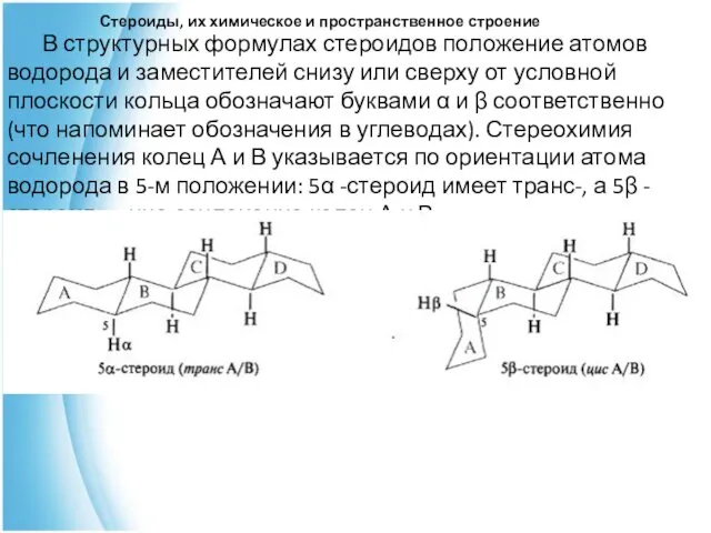 Стероиды, их химическое и пространственное строение В структурных формулах стероидов положение