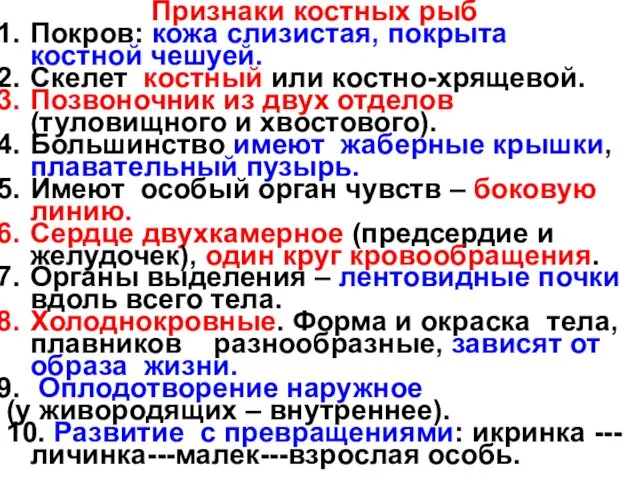 Признаки костных рыб Покров: кожа слизистая, покрыта костной чешуей. Скелет костный