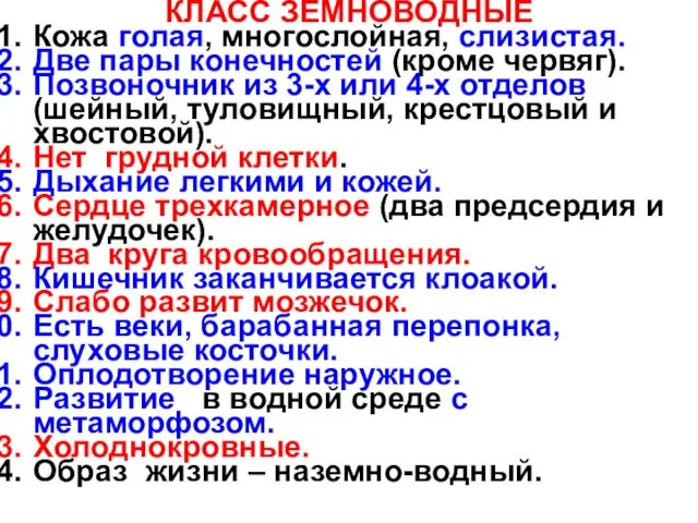 КЛАСС ЗЕМНОВОДНЫЕ Кожа голая, многослойная, слизистая. Две пары конечностей (кроме червяг).