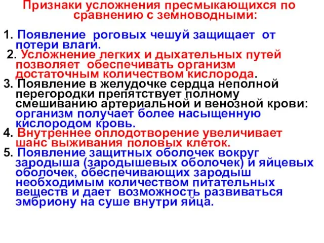 Признаки усложнения пресмыкающихся по сравнению с земноводными: 1. Появление роговых чешуй