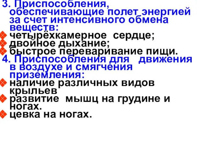 3. Приспособления, обеспечивающие полет энергией за счет интенсивного обмена веществ: четырёхкамерное