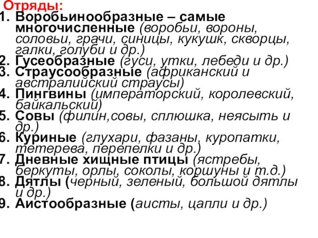 Отряды: Воробьинообразные – самые многочисленные (воробьи, вороны, соловьи, грачи, синицы, кукушк,