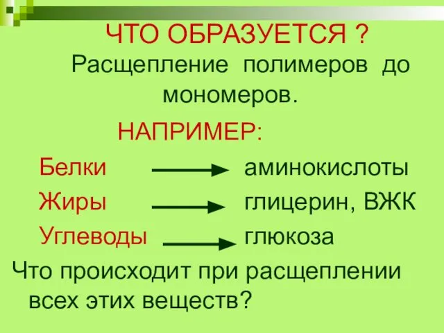 ЧТО ОБРАЗУЕТСЯ ? Расщепление полимеров до мономеров. НАПРИМЕР: Белки аминокислоты Жиры