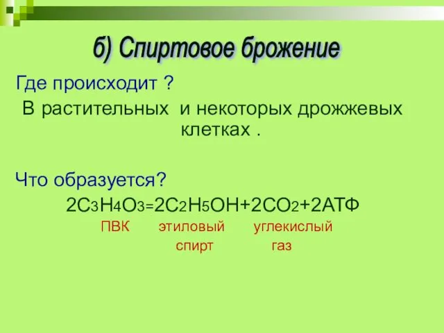 Где происходит ? В растительных и некоторых дрожжевых клетках . Что