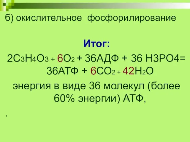 б) окислительное фосфорилирование Итог: 2С3Н4О3 + 6О2 + 36АДФ + 36