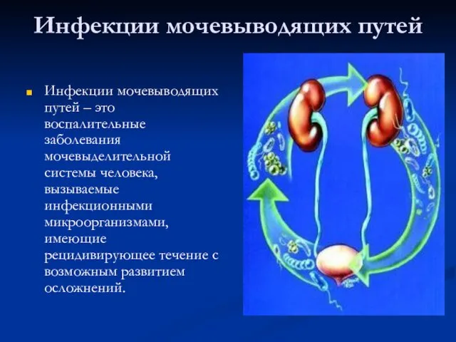 Инфекции мочевыводящих путей Инфекции мочевыводящих путей – это воспалительные заболевания мочевыделительной