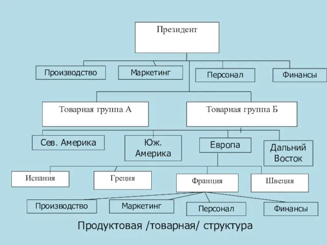 Продуктовая /товарная/ структура Президент