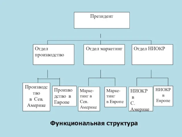 Функциональная структура