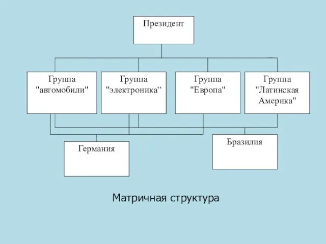 Матричная структура