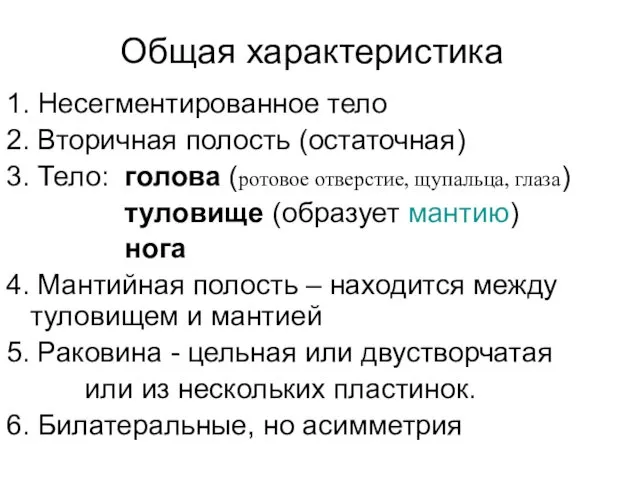 Общая характеристика 1. Несегментированное тело 2. Вторичная полость (остаточная) 3. Тело: