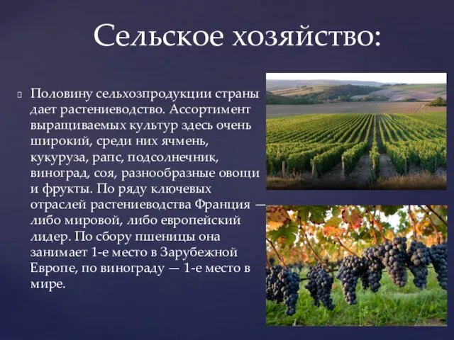 Половину сельхозпродукции страны дает растениеводство. Ассортимент выращиваемых культур здесь очень широкий,