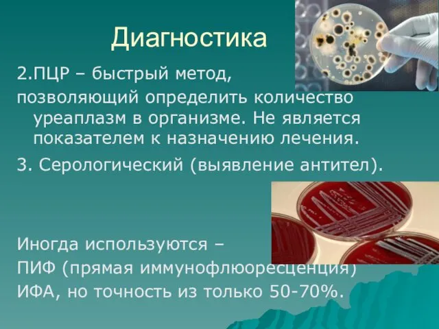 Диагностика 2.ПЦР – быстрый метод, позволяющий определить количество уреаплазм в организме.