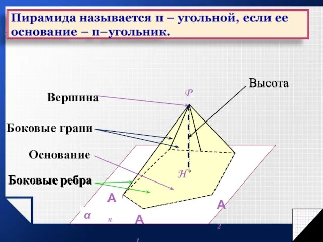 Высота Боковые ребра