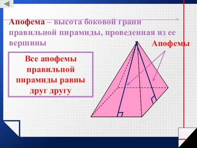 Апофема – высота боковой грани правильной пирамиды, проведенная из ее вершины