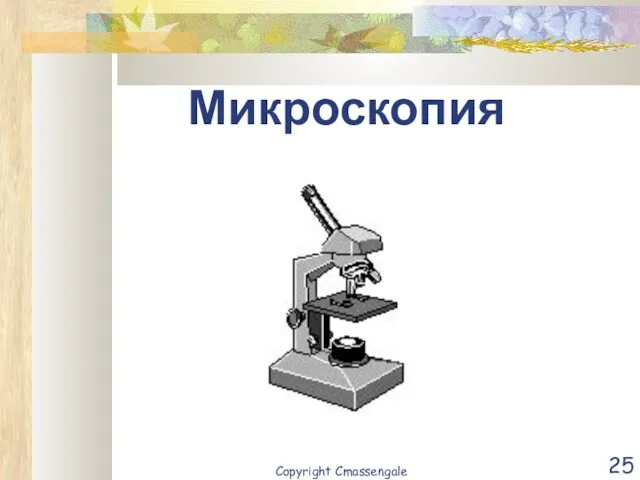 Микроскопия Copyright Cmassengale