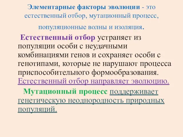 Элементарные факторы эволюции - это естественный отбор, мутационный процесс, популяционные волны