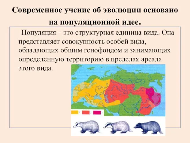 Современное учение об эволюции основано на популяционной идее. Популяция – это